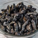 Madora 500g