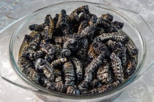 Madora 500g